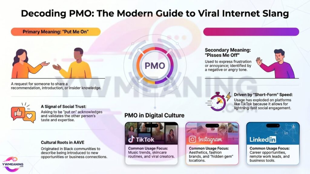 PMO Meaning in Text