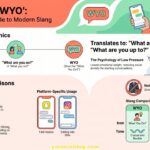 WYO Meaning in Text
