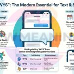 WYS Meaning in Text