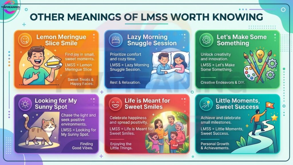 Other Meanings of LMSS Worth Knowing