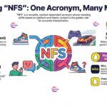 nfs meaning text